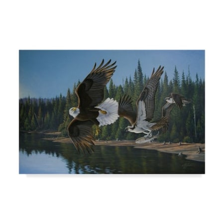 Wilhelm Goebel 'Eagle Osprey' Canvas Art,12x19